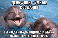 дельфины - умные создания вы когда нибудь видели дельфина, уехавшего учиться в киров?