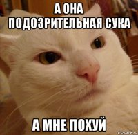 а она подозрительная сука а мне похуй