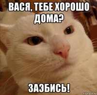 вася, тебе хорошо дома? заэбись!