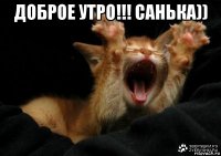доброе утро!!! санька)) 
