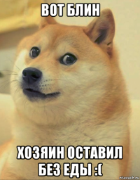 вот блин хозяин оставил без еды :(