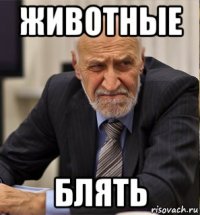 животные блять
