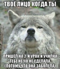 твоё лицо когда ты пришёл на 2-й урок и училка тебе не чо не сделала (потому что она заболела)