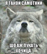 я такой самотний шо аж пукать хочица