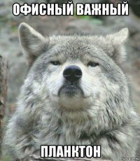 офисный важный планктон