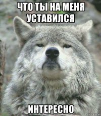 что ты на меня уставился интересно