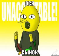 ося сынок