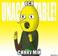 ося синку мій