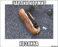 чарлик кормит хозяина