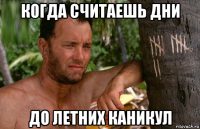 когда считаешь дни до летних каникул