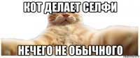 кот делает селфи нечего не обычного