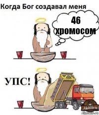 46 хромосом