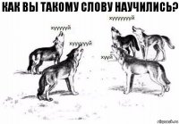 как вы такому слову научились?