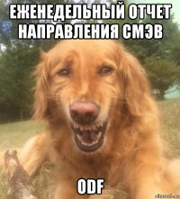 еженедельный отчет направления смэв odf