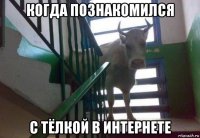 когда познакомился с тёлкой в интернете