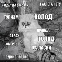 когда тебя бросили: голод холод одиночество страх туалета нету 0% ласки тупизм смерть жажда