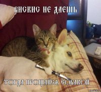 Вискис не даешь тогда прощайся собакой