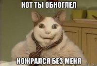 кот ты обноглел ножрался без меня