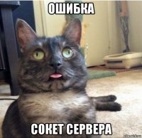 ошибка сокет сервера