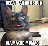 deda plan vamshum ma maxod mumaq:d