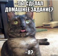 –ты сделал домашнее задание? –я?