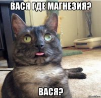 вася где магнезия? вася?