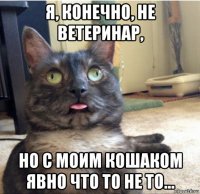 я, конечно, не ветеринар, но с моим кошаком явно что то не то...