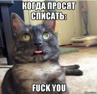 когда просят списать: fuck you