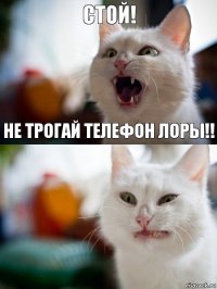 Стой! Не трогай телефон Лоры!!