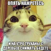 опять нажретесь и на утро труханы с деревьев снимать будете