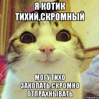 я котик тихий,скромный могу тихо закопать,скромно отпрахнывать