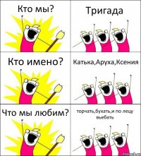 Кто мы? Тригада Кто имено? Катька,Аруха,Ксения Что мы любим? торчать,бухать,и по лецу вьебать