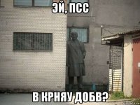 эй, псс в крняу добв?