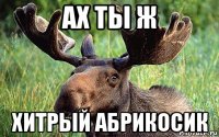 ах ты ж хитрый абрикосик