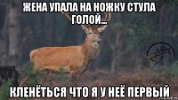 жена упала на ножку стула голой... кленёться что я у неё первый