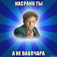 насрано ты а не ваолчара