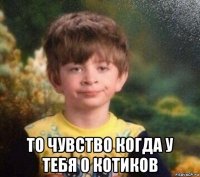  то чувство когда у тебя 0 котиков