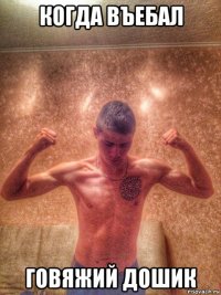 когда въебал говяжий дошик