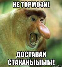 не тормози! доставай стаканыыыы!