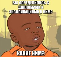 вы определились с дипломами и экспликациями к ним? какие ним?