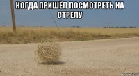 когда пришёл посмотреть на стрелу 