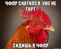 чфпр скатился, уже не торт сидишь в чфпр