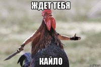 ждет тебя кайло