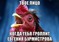 твое лицо когда тебя троллит евгения бурмистрова