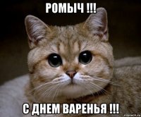 ромыч !!! с днем варенья !!!