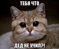 тебя что дед не учил?!