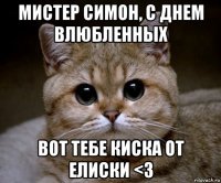 мистер симон, с днем влюбленных вот тебе киска от елиски <3