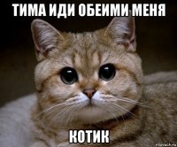 тима иди обеими меня котик