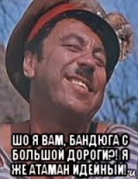  шо я вам, бандюга с большой дороги?! я же атаман идейный!