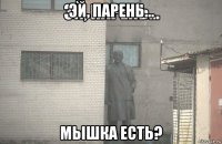 эй, парень... мышка есть?